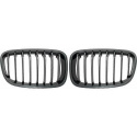  BMW 1-Series F20 11-15 Single Ribbed Carbon Fiber Look Sports Grille / Kidneys Performance Look DIEDERICHS