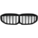 BMW 1-Serie F40 2020-2024 Motorsport-Look  Sport Grill DIEDERICHS