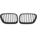  BMW X5 E53 99-03 Single Rib Black Sports Grille / Kidneys DIEDERICHS