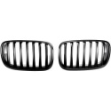  BMW X5/X6 E70 07-13 Single Rib Matte Black Sports Grill / Kidneys DIEDERICHS