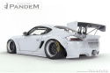 Porsche Cayman 987.1 04-08 Pandem V.2 Widebody Aero Kit W/O GT Wing TRA-KYOTO