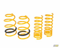 mountune Sport Spring Set Focus ST MK3 2014-2018