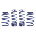 Honda Civic Type R Typ FN2 03/07> Sport Springs 25mm h&r