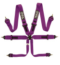 6-point safety harness Pro Plus FIA - Purple QSP Products