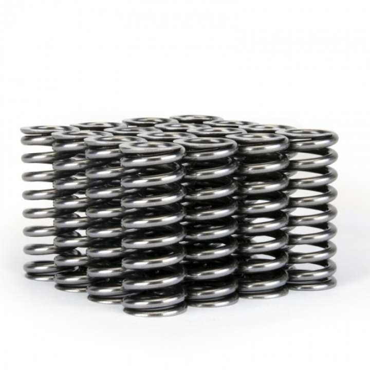 Honda D Series SOHC VTEC Alpha Valve Spring Set Skunk2 in the group Select car model / Honda / Integra 93-01 / Tuning / Engine parts at DDESIGN Scandinavia AB (311-05-1345)