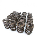 Honda B16A - B16B - B17A - B18C Engines or VTEC Cylinder Heads Alpha Valve Spring Set Skunk2