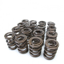 Honda K20A - K20A2 - K20Z1 - K20Z3 - K24A2 Engines or i-VTEC Cylinder Heads Alpha Valve Spring Set Skunk2