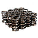 Honda K20A - K20A2 - K20Z1 - K20Z3 - K24A2 - F20C - F22C Engines Pro XP Valve Spring Set Skunk2