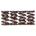 Honda K20A - K20A2 - K20Z1 - K20Z3 - K24A2 - F20C - F22C Engines Pro XP Valve Spring Set Skunk2