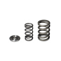 Honda H22A - F20B Engines or VTEC Cylinder Heads Alpha Valve Spring & Ti Retainer Kit Skunk2