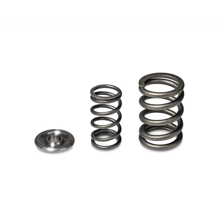 Honda H22A - F20B Engines or VTEC Cylinder Heads Alpha Valve Spring & Ti Retainer Kit Skunk2 in the group Select car model / Honda / Prelude 97-01 / Tuning / Engine parts at DDESIGN Scandinavia AB (344-05-1360)