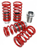 Honda Civic - CRX - Del Sol 1988-2000 Coilover Sleeve Springs Skunk2