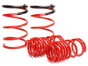 Honda Civic Si 2002-2005 Lowerings Springs Skunk2