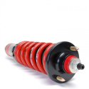 Acura Integra 1990-1993 Pro-S II Coilovers Skunk2