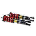 Honda Civic 1996-2000 PRO-ST Coilover Skunk2