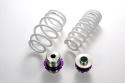 Supra 19- HKS Adjustable Lowering Springs