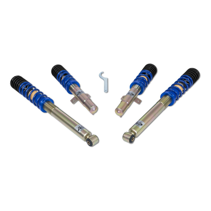 Ford Fiesta JAS, JBS med ögon stötdämpar konstruktion Height Adjustable Coilovers AP Suspension in the group Select car model / Ford / Fiesta MK6 01-08 / Chassis / Suspension at DDESIGN Scandinavia AB (AP-11530011)