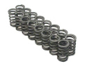 Subaru EJ205 WRX / EJ257 STi Valve Springs Brian Crower