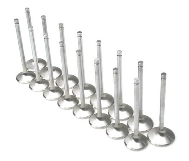 Nissan VQ35DE Valves Brian Crower (+1mm) in the group Select car model / Nissan / 350Z Z33 2003-2009 / Tuning / Engine parts / Head at DDESIGN Scandinavia AB (BC3224)