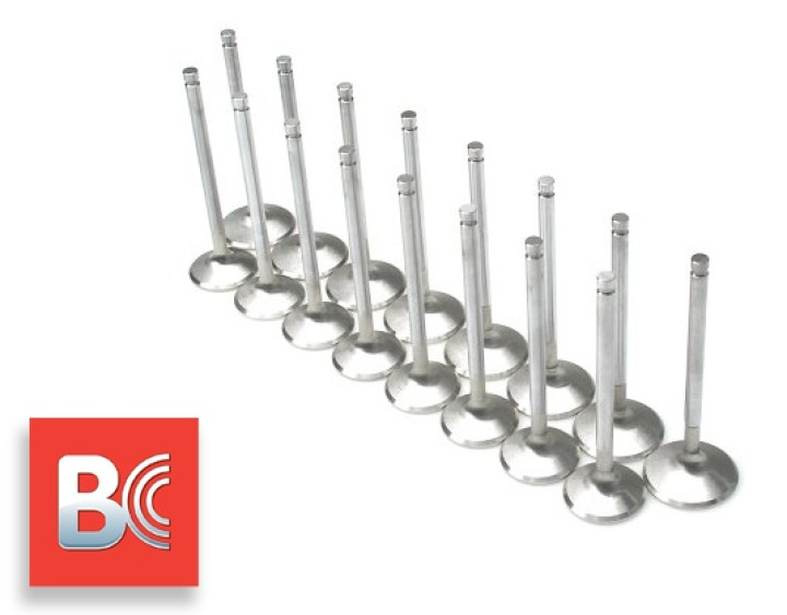 Toyota 2JZGTE/Lexus 2JZGE Valves Brian Crower (+1mm) in the group Select car model / Toyota / Supra MK4 93-02 / Tuning / Head related at DDESIGN Scandinavia AB (BC3303)