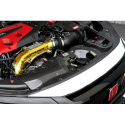 Honda Civic Type R 2017+ Radiator Cooling Plate (Center) Carbon Fiber APR Performance
