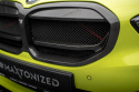 Carbon Fiber Front Grill Bmw 1 F40 M-Pack/ M135i Maxton Design