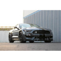Ford Mustang Shelby GT-350 Front Wind Splitter 2018-UP