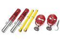 Ford Galaxy / Seat Alhambra / VW Sharan 1995 - 2010 Coilovers TA Technix
