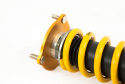 Honda Civic Type-R FD2 2007- Road & Track Coilover Kit Öhlins