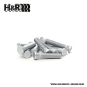 HR-1254044 H&R Wheel Stud M12x1.5 Knurled Silver, Length 40mm 14,2mm Diameter