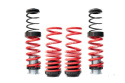 H&R height adjustable springs VOLKSWAGEN BUSS T5 2003-