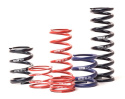 H&R RF 60mm RACESPRING