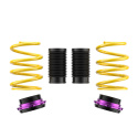 253100AL Height Adjustable Lowering Springs HAS KW Suspension