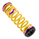 25315032 Height Adjustable Lowering Springs HAS KW Suspension