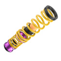 25325080 Height Adjustable Lowering Springs HAS KW Suspension