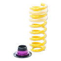 25325093 Height Adjustable Lowering Springs HAS KW Suspension