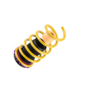 25381054 Height Adjustable Lowering Springs HAS KW Suspension