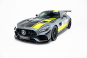Mercedes-AMG GT C C190 Facelift 2017-2023 Front Splitter Maxton Design