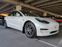 Tesla Model 3 17+ Mud Flaps Silver Logo Rally Armor
