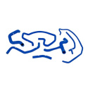 Ford Focus SVT Silicone Hose Kit Mishimoto