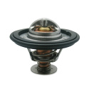Ford Mustang V8 Street Thermostat