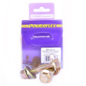 PFA100-12-70 Powerflex PowerAlign Camber Bolt Kit (12mm)