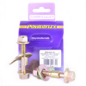 PFA100-14 Powerflex PowerAlign Camber Bolt Kit (14mm)