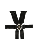 6-Point Harness 3\'\' QSP \'\'Endurance / Hans\'\'