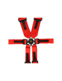 6-Point Harness 3\'\' QSP \'\'Endurance / Hans\'\'