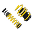 273100AD Height Adjustable Lowering Springs ST HAS ST Suspensions