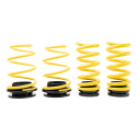 27330065 Height Adjustable Lowering Springs ST HAS ST Suspensions