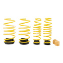 273800BQ Height Adjustable Lowering Springs ST HAS ST Suspensions
