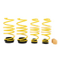 273800BW Height Adjustable Lowering Springs ST HAS ST Suspensions