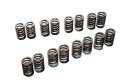 Mitsubishi EVO 10 2008-2015 4B11 / G4KF Valve Spring TOMEI